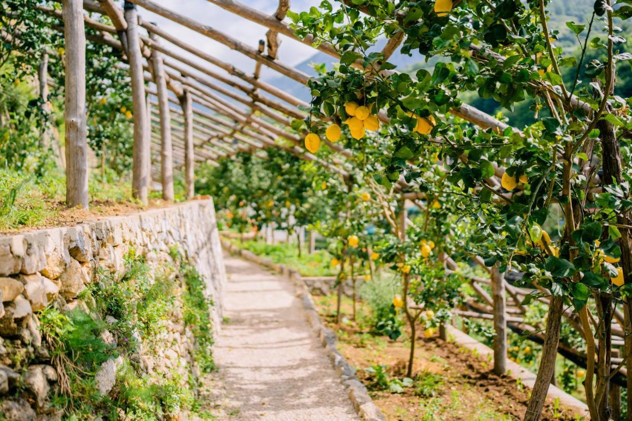 Villa Le Murelle Tramonti Ngoại thất bức ảnh